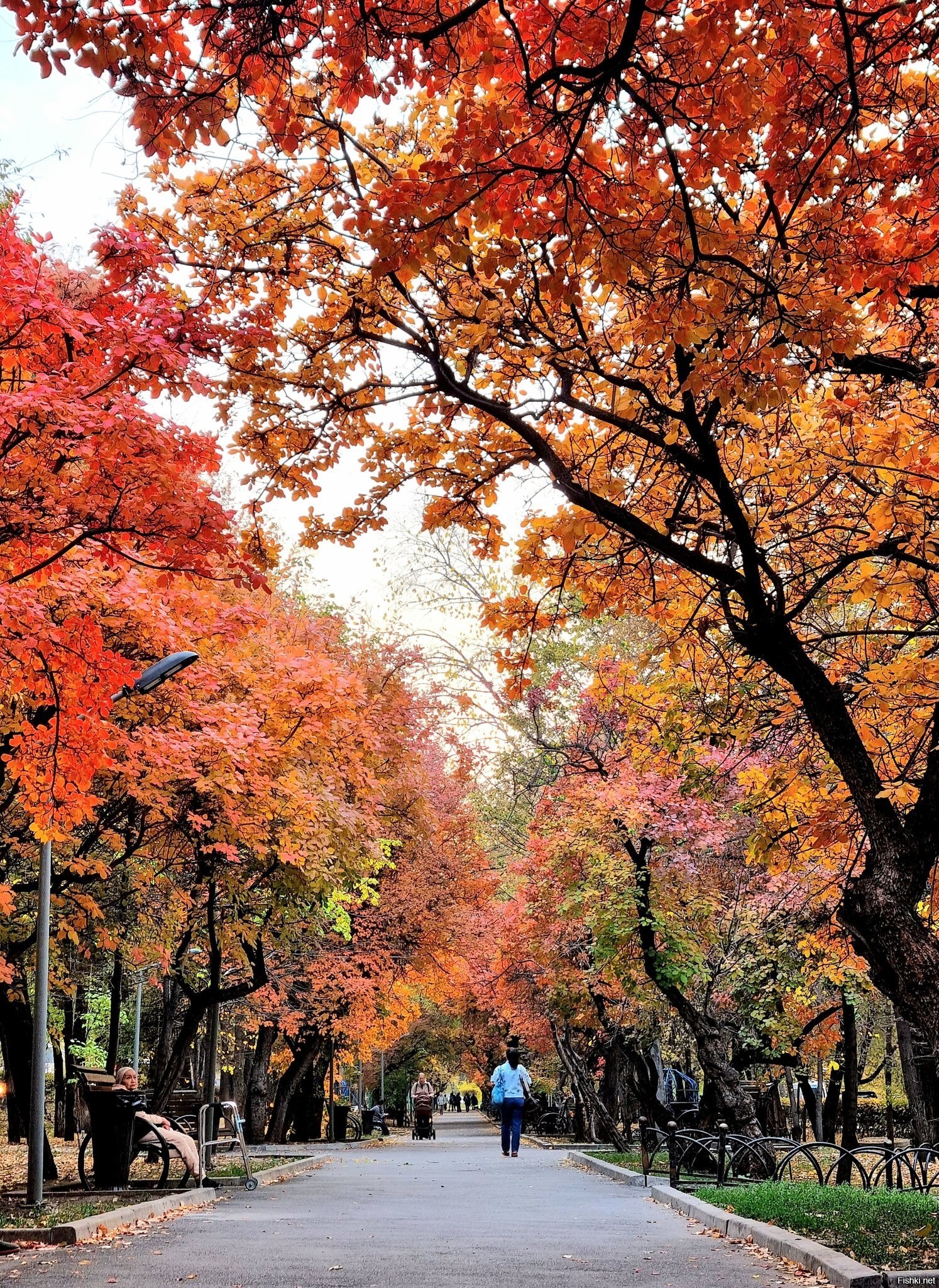 Алматинская осень