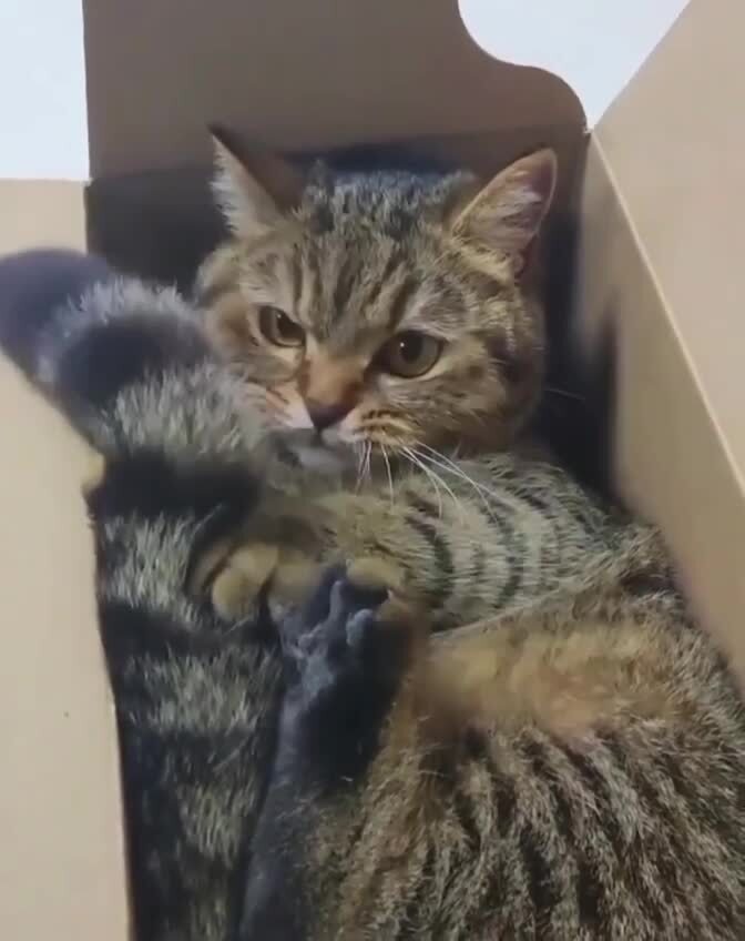 Самогипноз