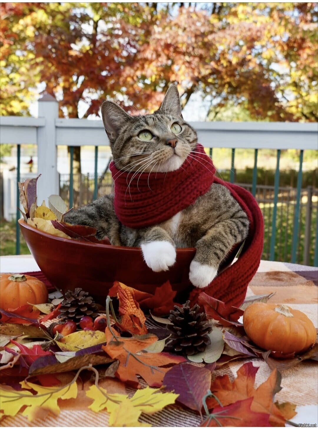 Доброе утро