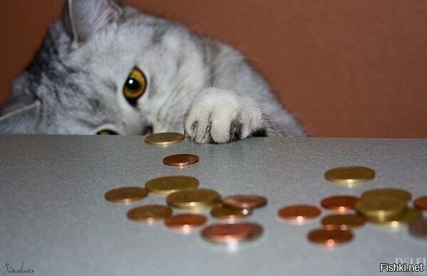 А кто распоряжается финансами в вашей семье