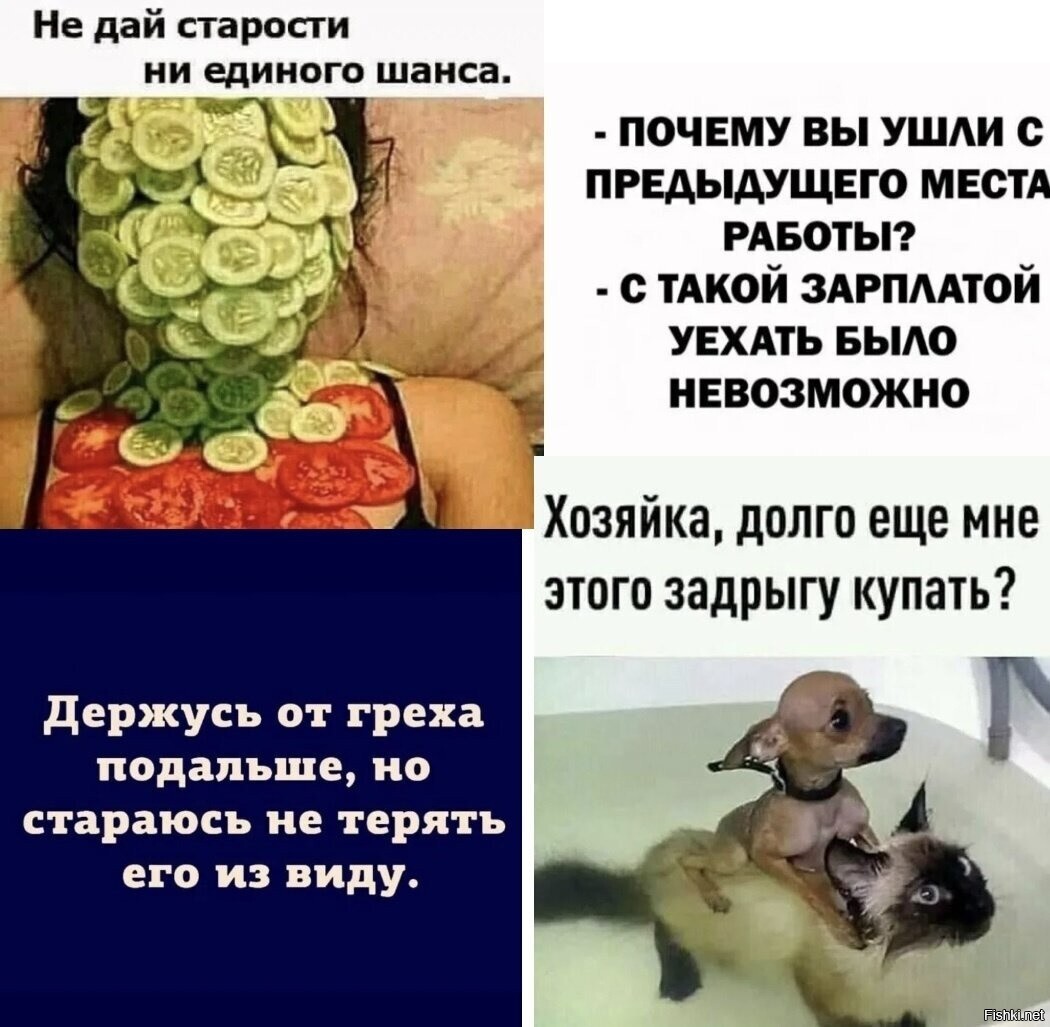 Солянка
