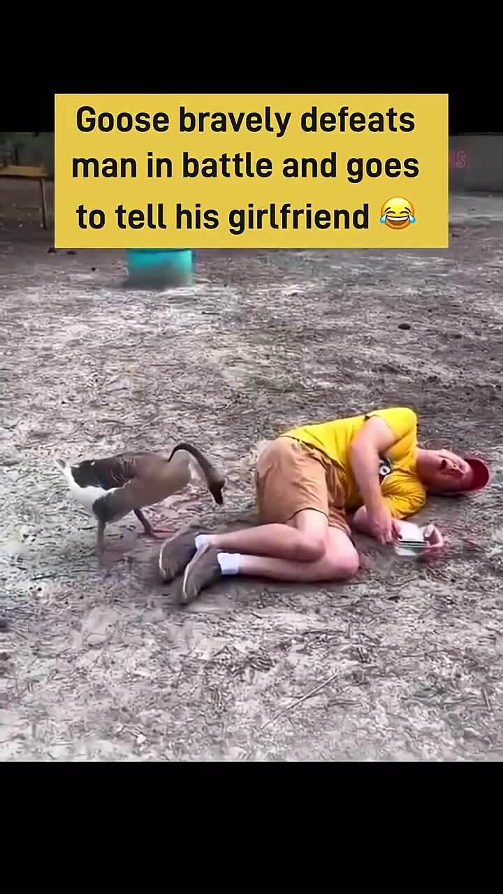 Победил двуногого