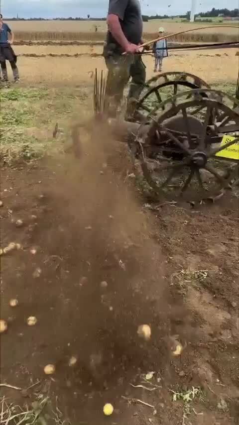 Автоматизация