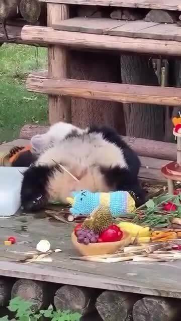 Жизнь удалась