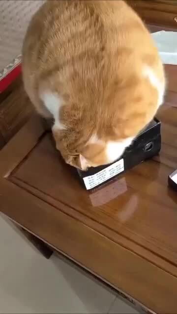 МИССИЯ НЕ ВЫПОЛНИМА