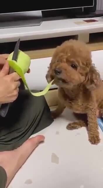 Истинная безотходность