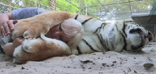 Просто гифки, всякие и разные