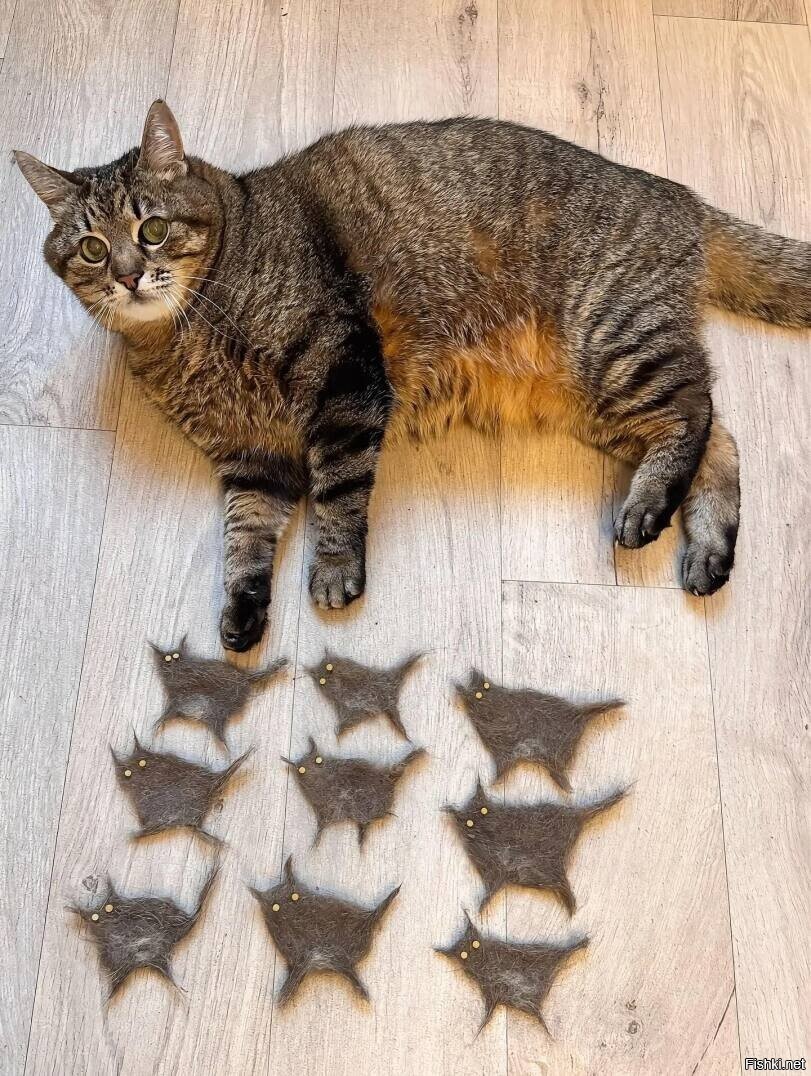 Зочем ты угнетаешь мой народ