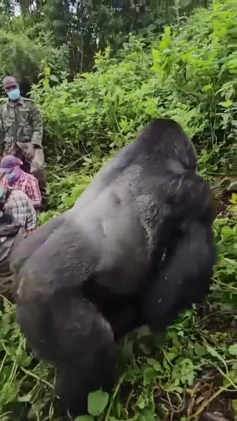 А вот так везет только раз в жизни