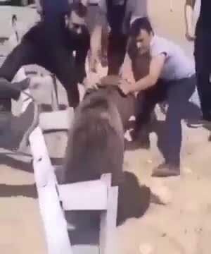 У кого от жадности башка застряла, а кому-то напрягаться и рисковать