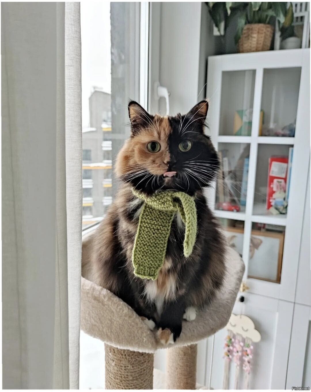 Доброе утро