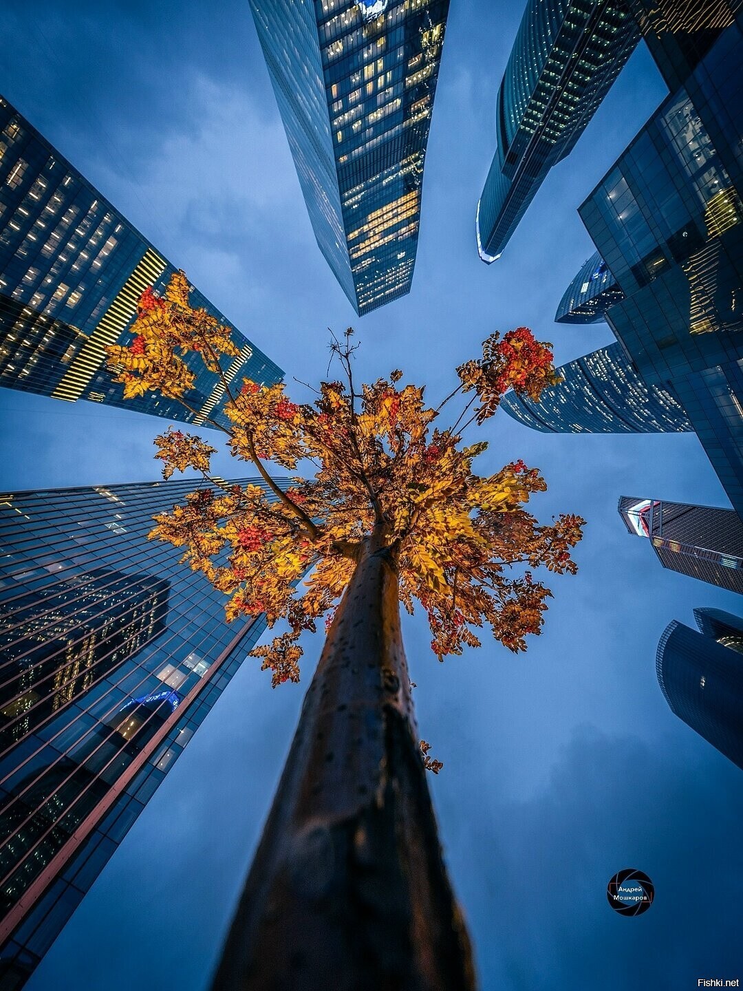 Москва-Сити