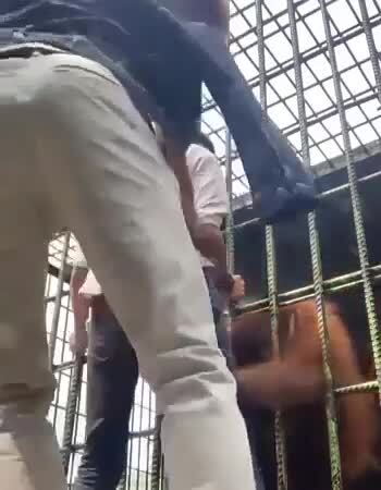 Писали же, таблички вешали, но некоторым всё не впрок