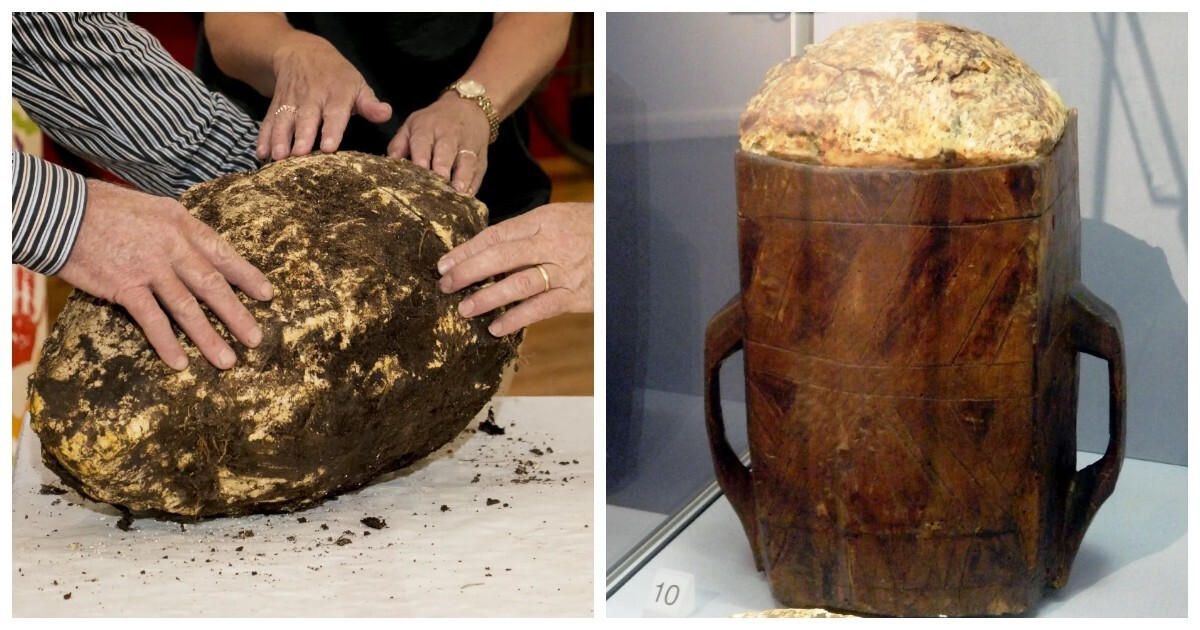 Тайна болотного масла: зачем в древности люди зарывали в трясину свои запасы?