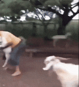 Мать в деле