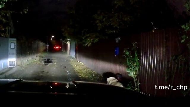 В Ростове-на-Дону алабай напал на женщину