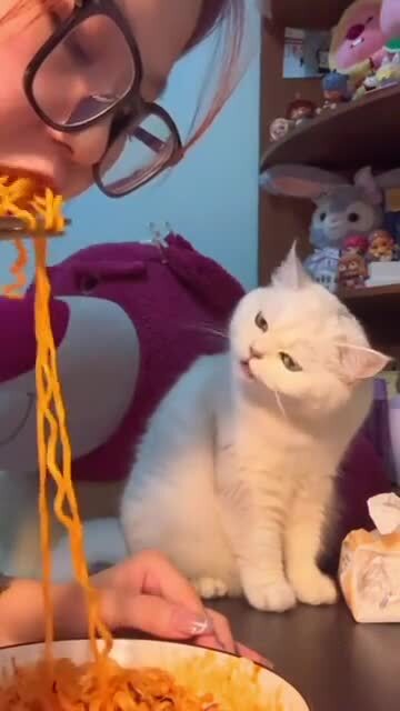 Рефлекс, однако