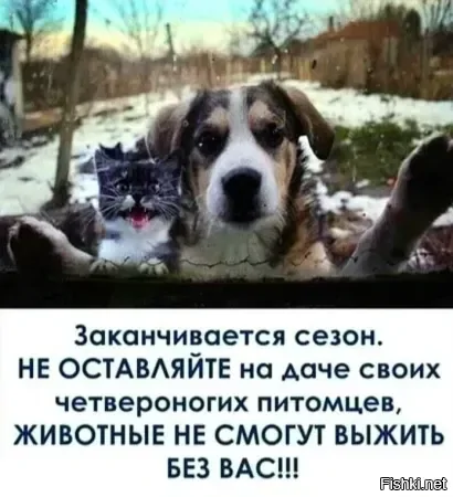 А ВОТ ЭТО УЖЕ БЕЗ ШУТОК