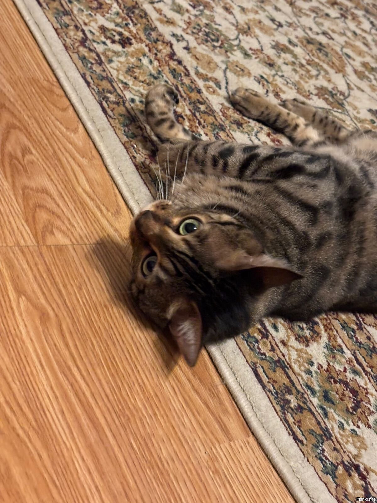 Вот какой Я 