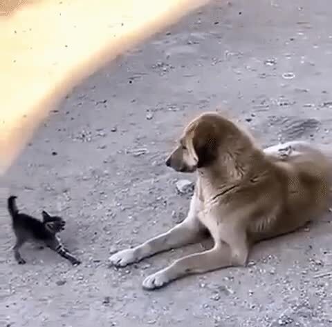 Та ситуация, когда не знаешь как реагировать