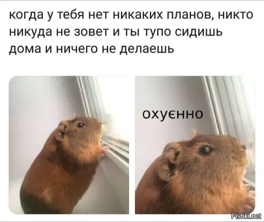 Спокойной вам ночи