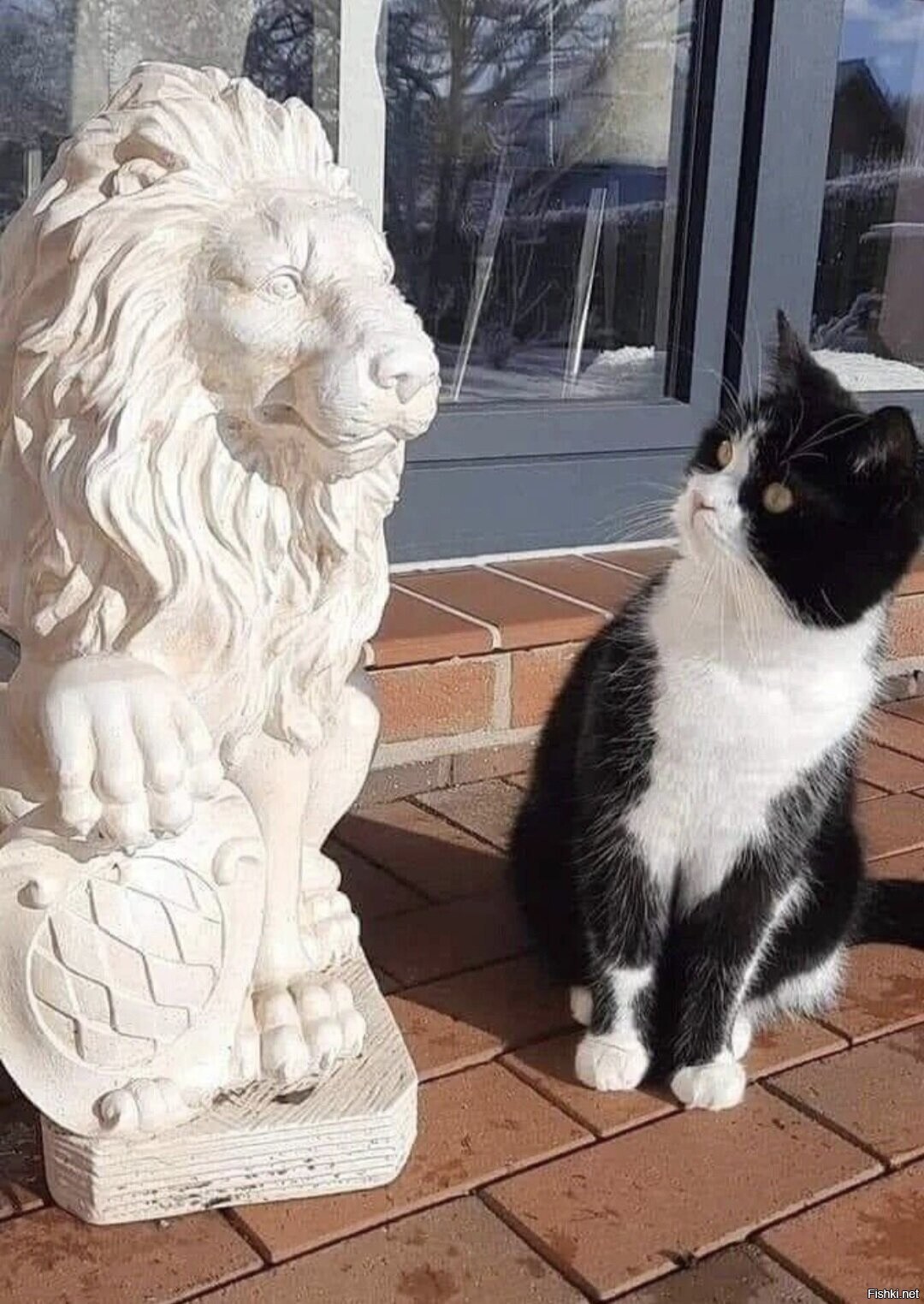 Доброе утро