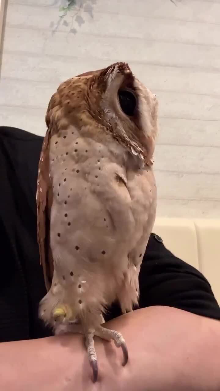 Хороша и с того бока, и с этого)