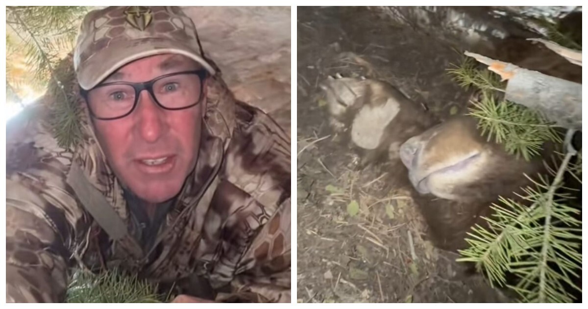 Безумие в прямом эфире: мужчина залез в берлогу спящей медведицы