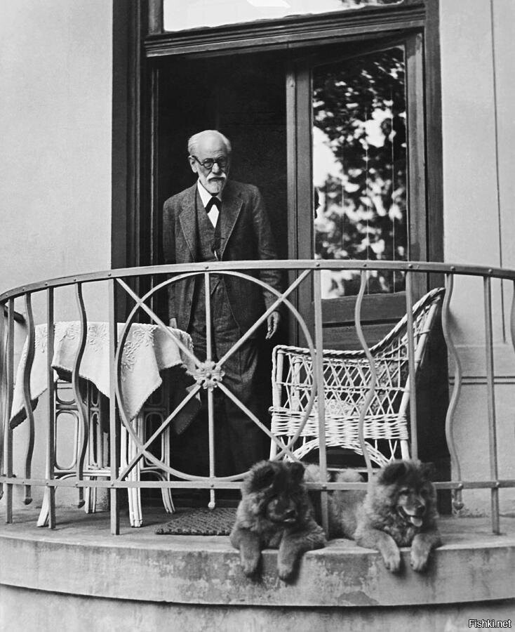 Зигмунд Фрейд, 1933 г