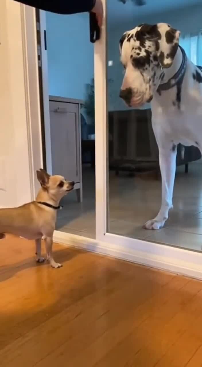 Ты чего наделал