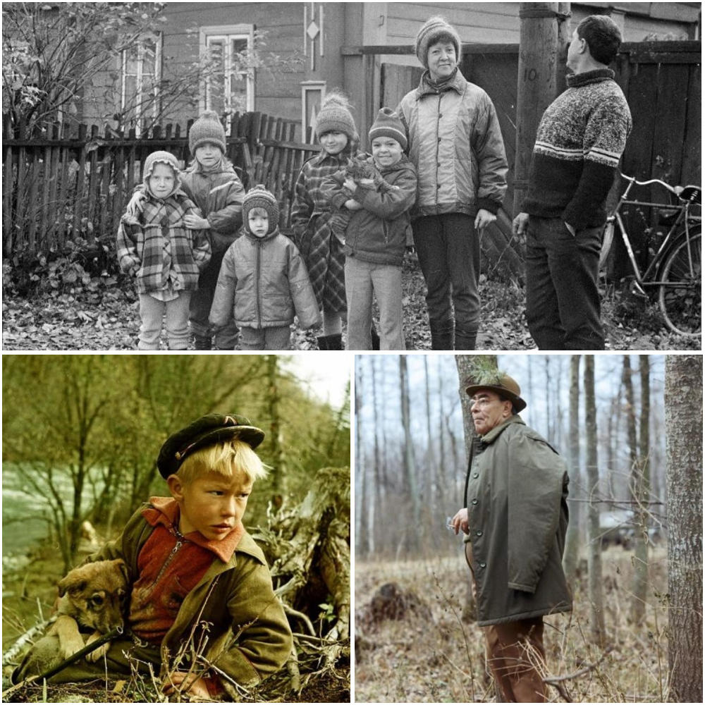 Осенние портреты