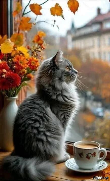 С добрым утром