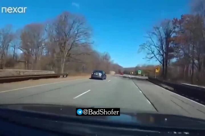 Летающая газель