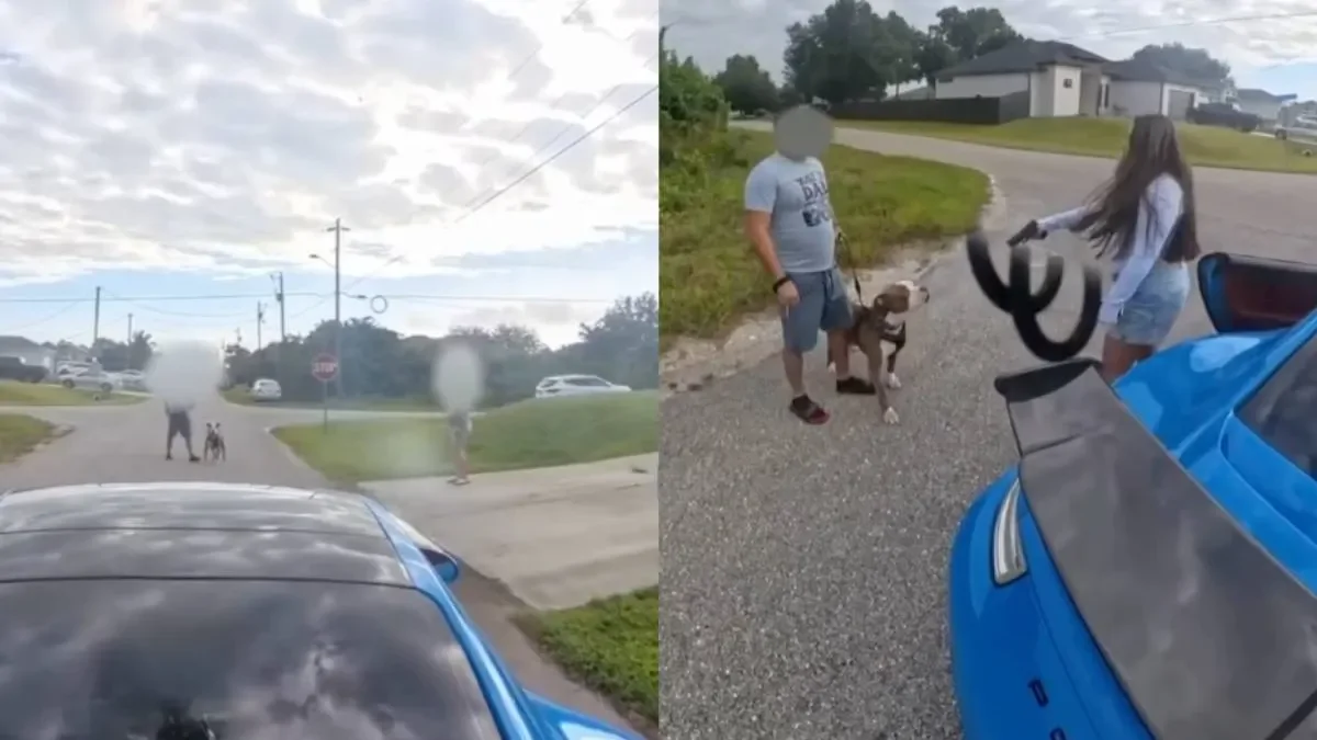 Ссора на дороге во Флориде закончилась угрозами с оружием