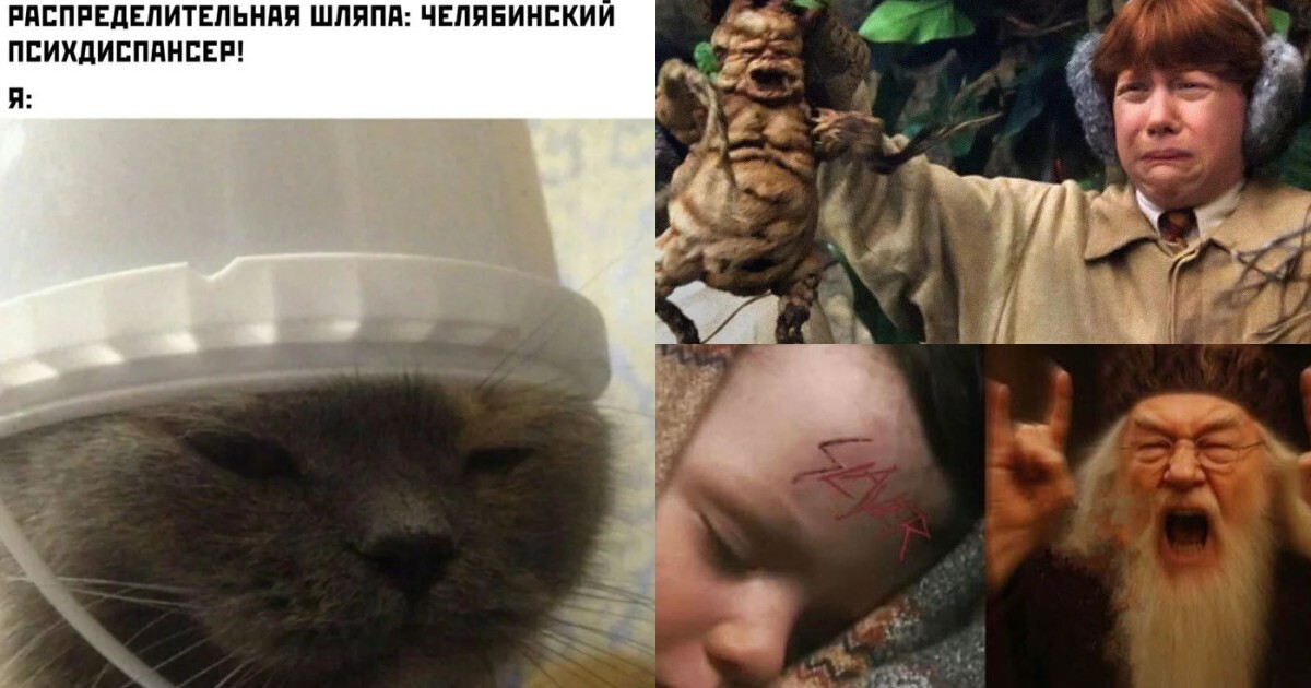 Волан-де-Морт, вы женщина?: новости и мемы про Гарри Поттера