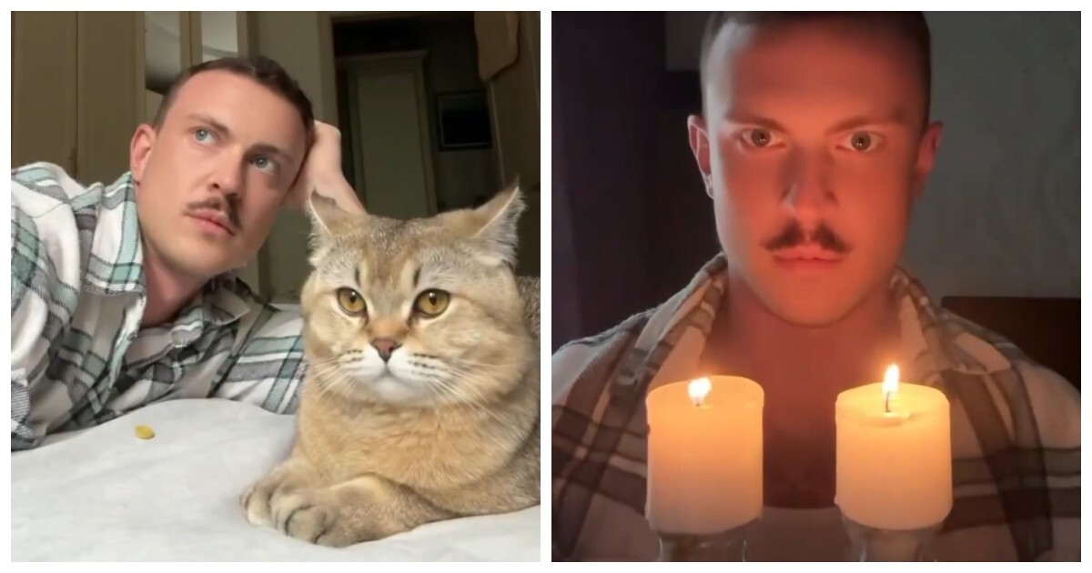 Новая схема по привлечению богатства: кот + расчёска = деньги!