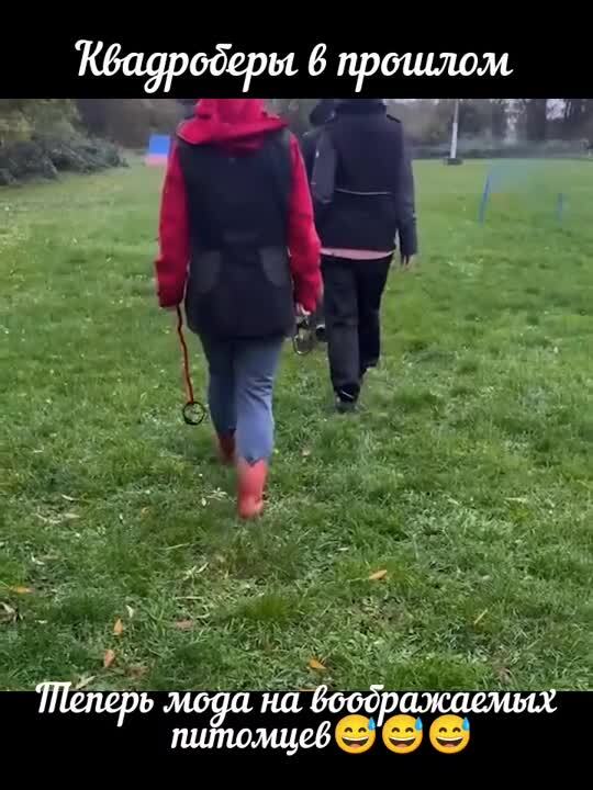 Европа прогрессирует 