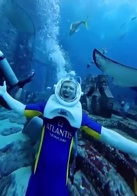 Уникальный аттракцион в Дубае — AquaTrek 