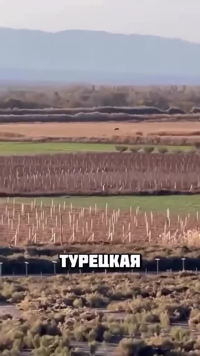 Тупость зашкаливает у неё на все 1000% 