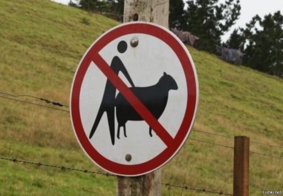 Это вгде такие знаки 