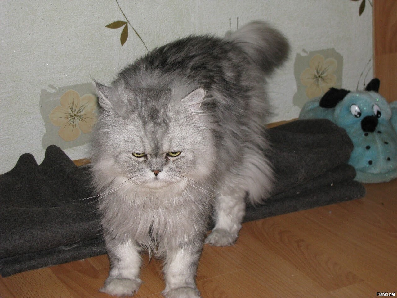 Как на работу