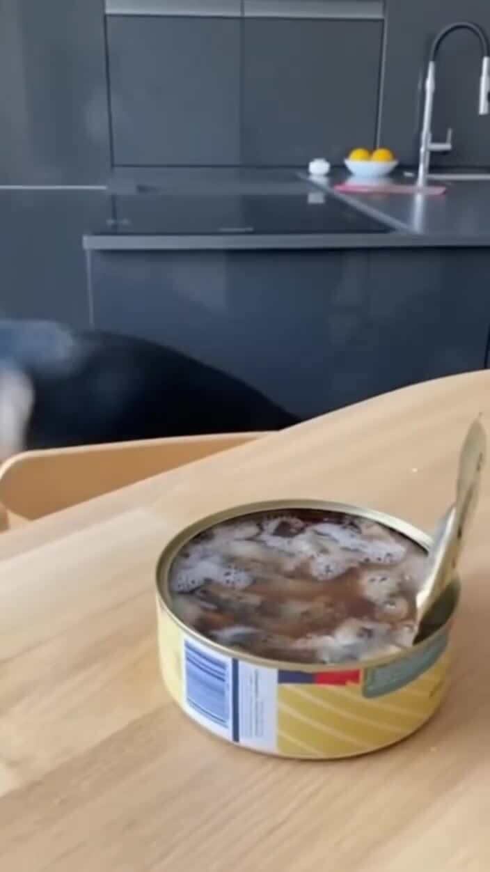 Пробуют сюрстремминг