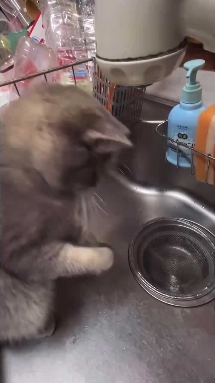 Да что тут происходит