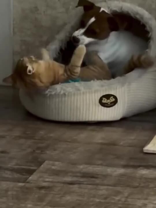 Просыпаемся