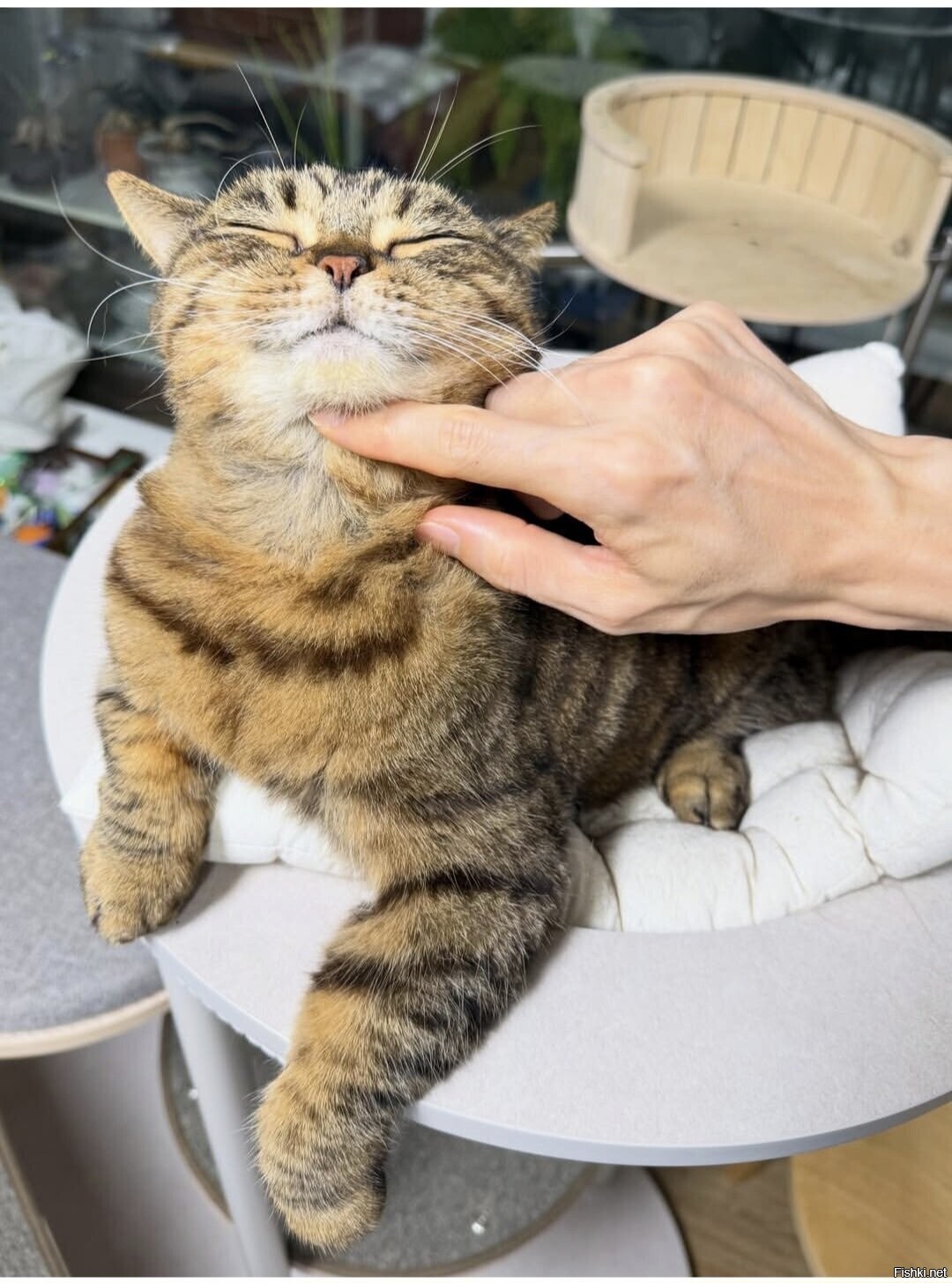 Доброе утро