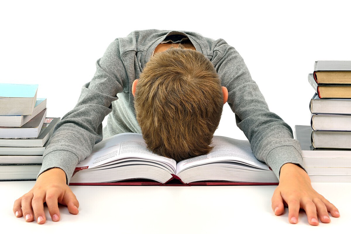 "Наши дети не уступают японским": в России обсуждают проект перехода на 12-летнее школьное обучение