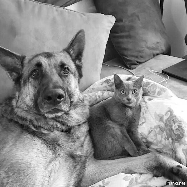 С добрым утром 