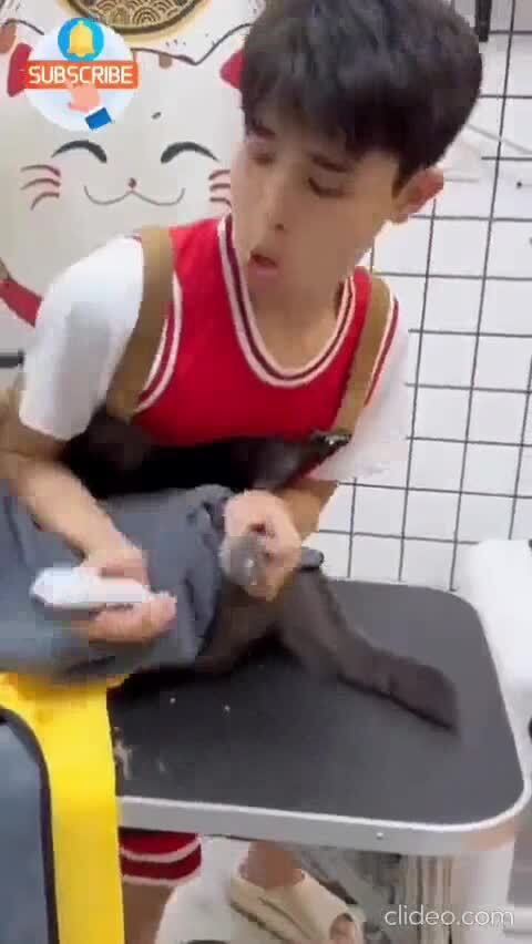 &quot;зверь&quot; какой-то