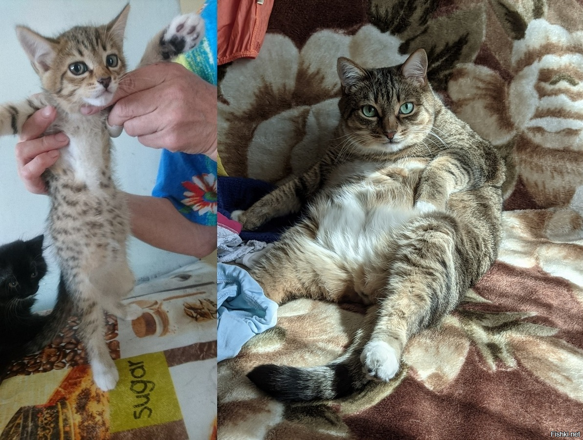 Было и стало