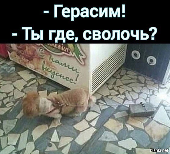 Всплыл бедняга